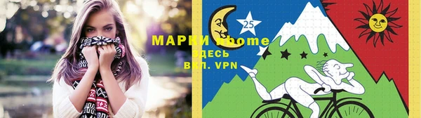 молекула духа Надым