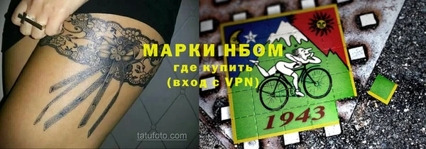 молекула духа Надым